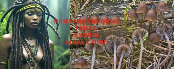 спиды Бронницы