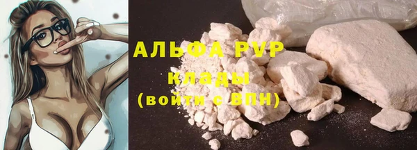 прущие грибы Богородск