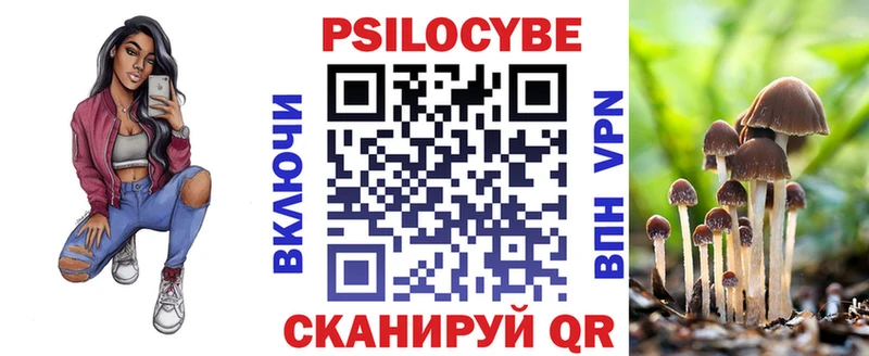 blacksprut ссылки  Свободный  Псилоцибиновые грибы прущие грибы 